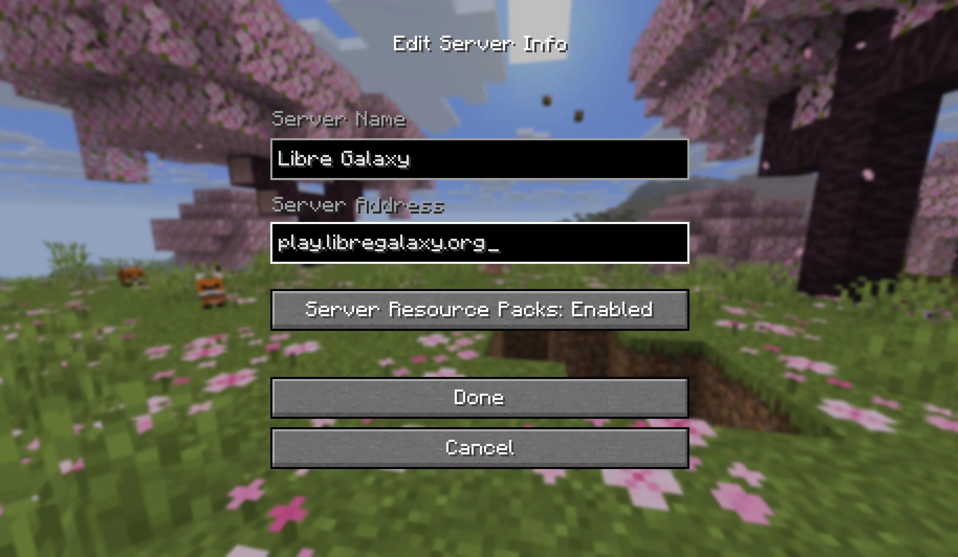 Java Edition add server menu with Libre Galaxy details